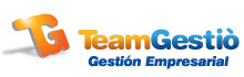 Team Gestio, Gestión empresarial